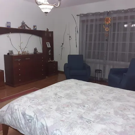 Noctua Villam * Marinha Grande